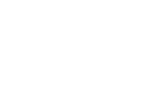 Logo von F.G. Pfister Holding
