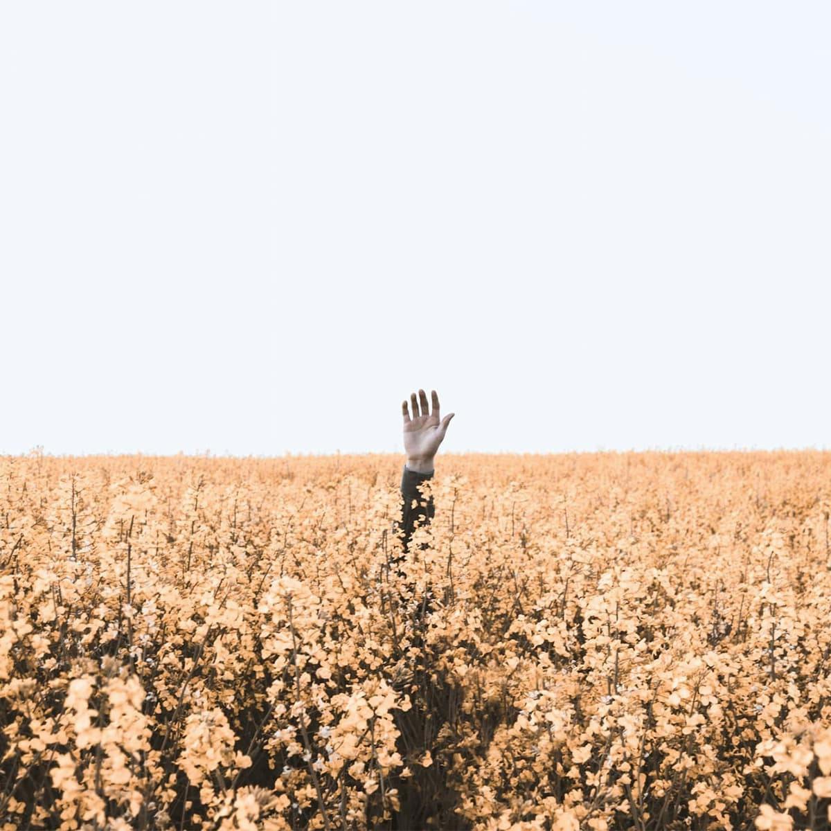 Ein hochgestreckter Arm in einem Getreidefeld. Der Mensch, dem der Arm gehört ist nicht sichtbar.