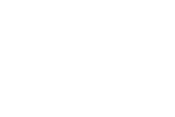 Logo von F.G. Pfister Holding